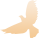 微信图片_20240919172019.png